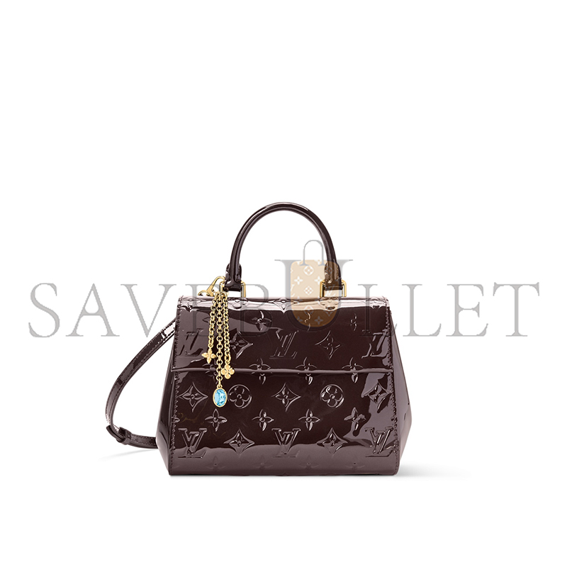 LOUIS VUITTON CLUNY MINI M27173 (20*16*7.5cm)